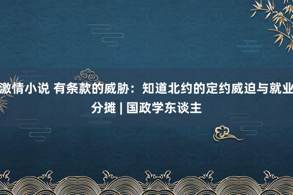 激情小说 有条款的威胁：知道北约的定约威迫与就业分摊 | 国政学东谈主