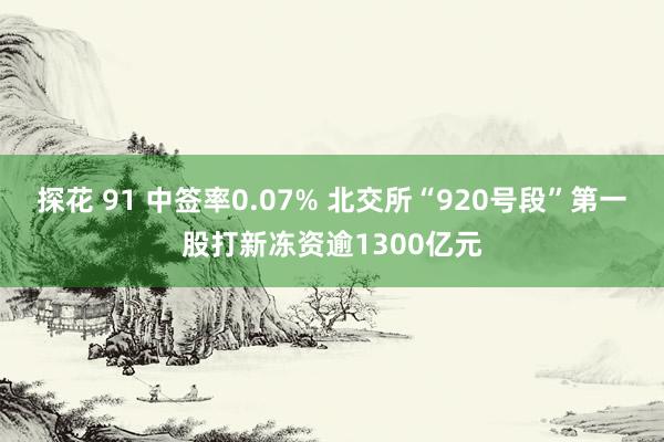 探花 91 中签率0.07% 北交所“920号段”第一股打新冻资逾1300亿元