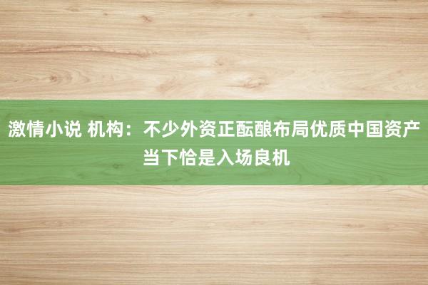 激情小说 机构：不少外资正酝酿布局优质中国资产 当下恰是入场良机