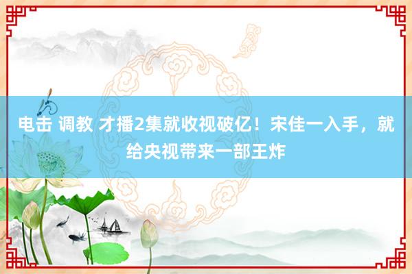 电击 调教 才播2集就收视破亿！宋佳一入手，就给央视带来一部王炸