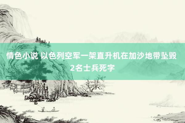 情色小说 以色列空军一架直升机在加沙地带坠毁 2名士兵死字