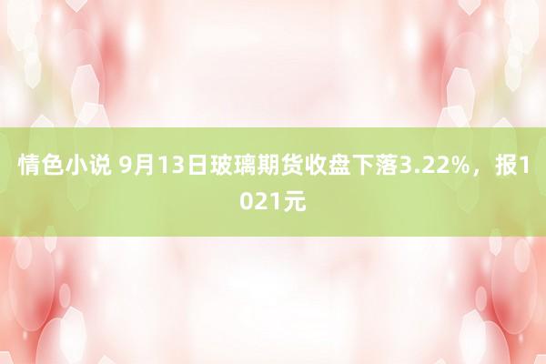 情色小说 9月13日玻璃期货收盘下落3.22%，报1021元