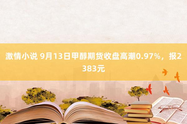 激情小说 9月13日甲醇期货收盘高潮0.97%，报2383元