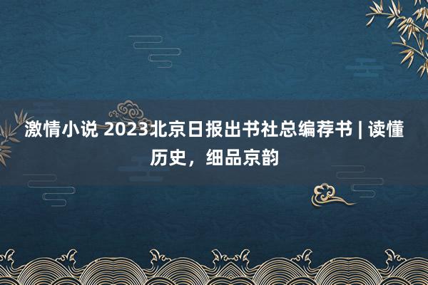 激情小说 2023北京日报出书社总编荐书 | 读懂历史，细品京韵