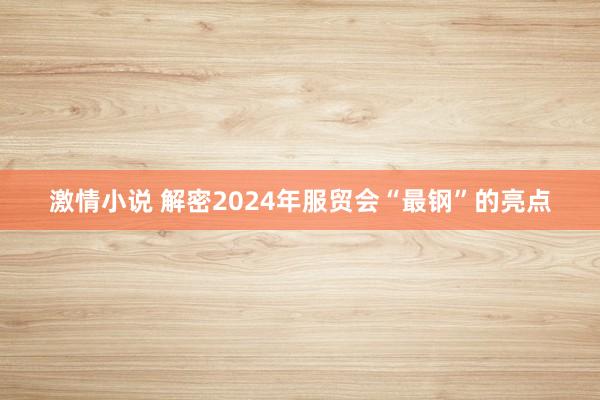 激情小说 解密2024年服贸会“最钢”的亮点