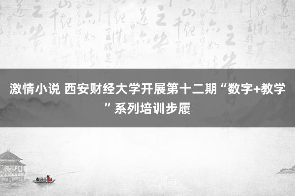 激情小说 西安财经大学开展第十二期“数字+教学”系列培训步履