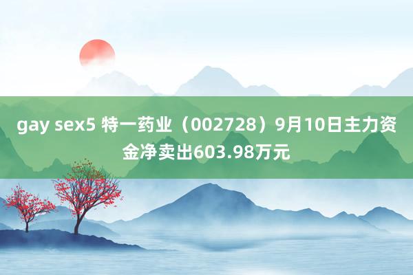 gay sex5 特一药业（002728）9月10日主力资金净卖出603.98万元