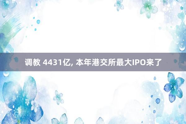 调教 4431亿， 本年港交所最大IPO来了