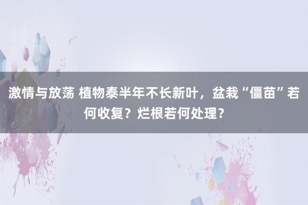 激情与放荡 植物泰半年不长新叶，盆栽“僵苗”若何收复？烂根若何处理？