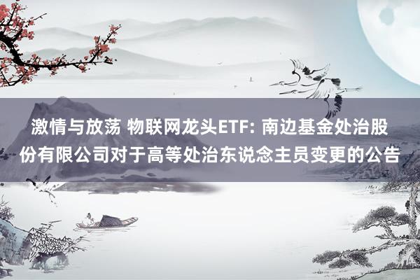 激情与放荡 物联网龙头ETF: 南边基金处治股份有限公司对于高等处治东说念主员变更的公告