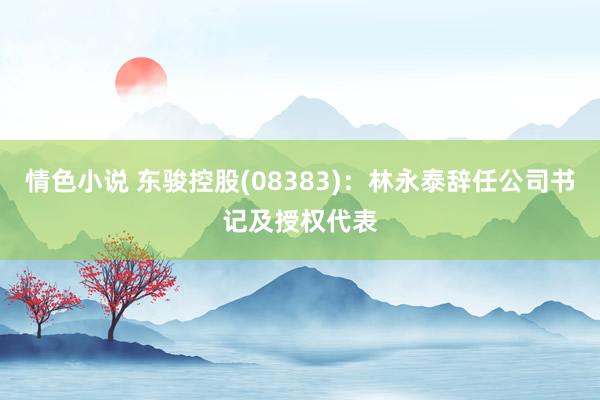 情色小说 东骏控股(08383)：林永泰辞任公司书记及授权代表