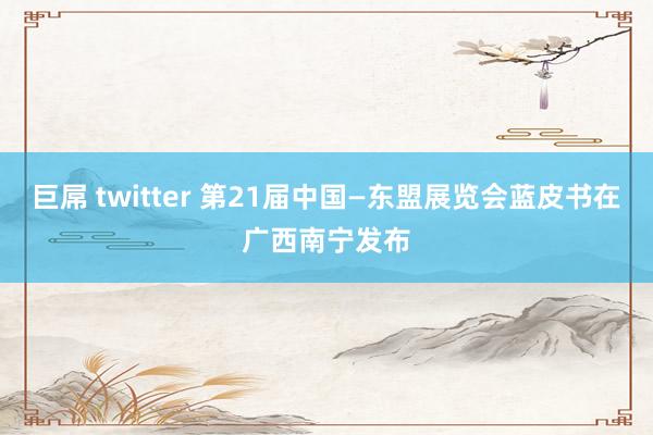 巨屌 twitter 第21届中国—东盟展览会蓝皮书在广西南宁发布