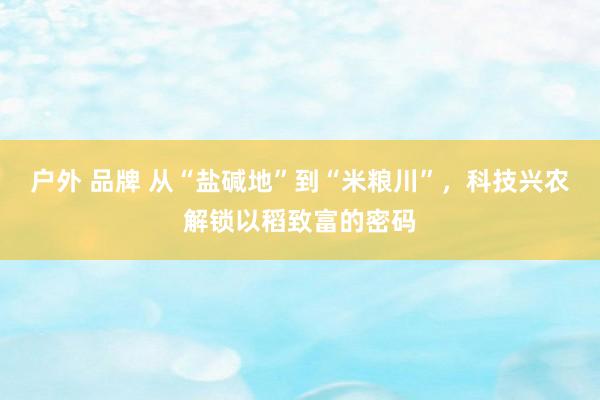 户外 品牌 从“盐碱地”到“米粮川”，科技兴农解锁以稻致富的密码