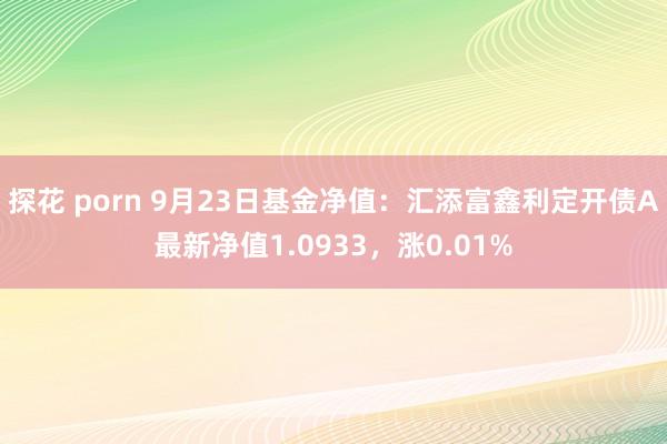 探花 porn 9月23日基金净值：汇添富鑫利定开债A最新净值1.0933，涨0.01%