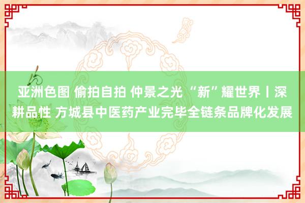 亚洲色图 偷拍自拍 仲景之光 “新”耀世界丨深耕品性 方城县中医药产业完毕全链条品牌化发展