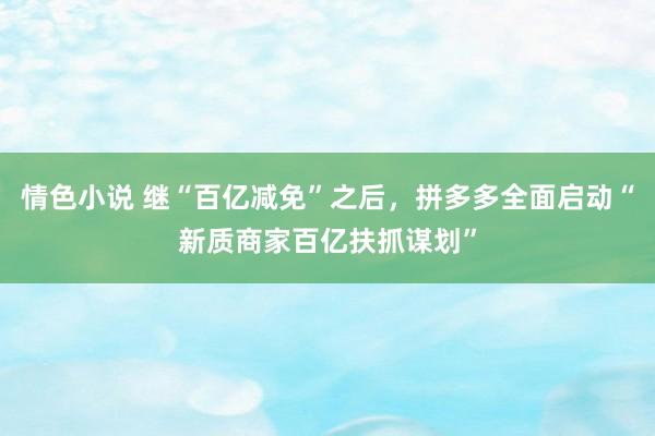 情色小说 继“百亿减免”之后，拼多多全面启动“新质商家百亿扶抓谋划”