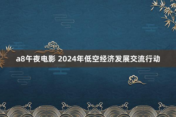 a8午夜电影 2024年低空经济发展交流行动