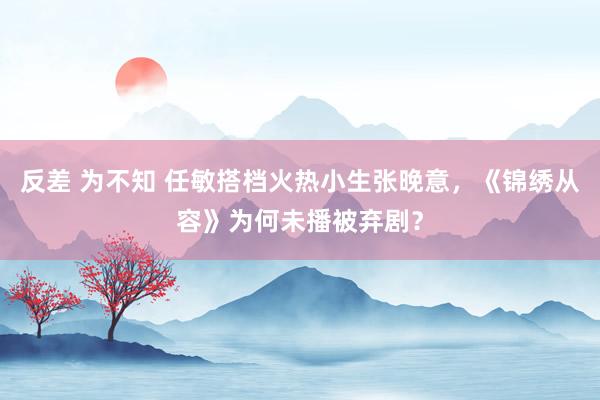 反差 为不知 任敏搭档火热小生张晚意，《锦绣从容》为何未播被弃剧？