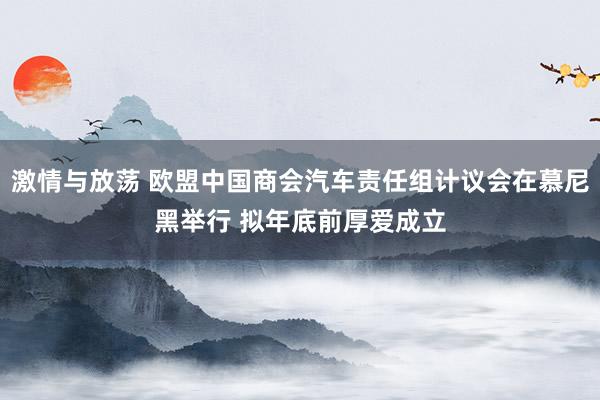 激情与放荡 欧盟中国商会汽车责任组计议会在慕尼黑举行 拟年底前厚爱成立