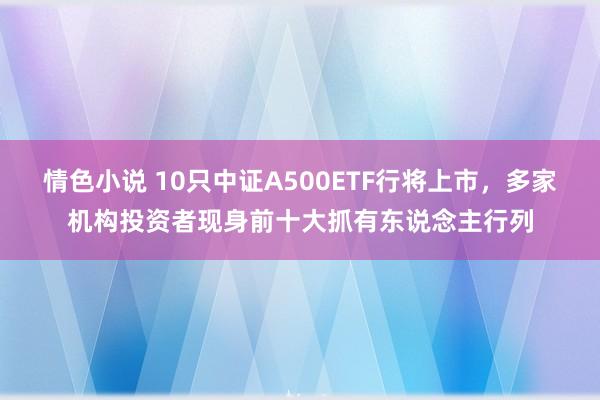 情色小说 10只中证A500ETF行将上市，多家机构投资者现身前十大抓有东说念主行列