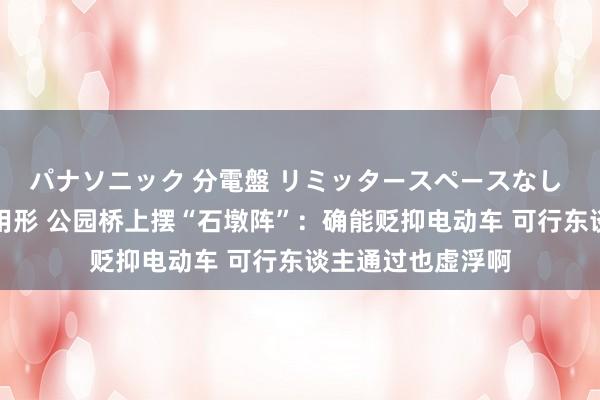 パナソニック 分電盤 リミッタースペースなし 露出・半埋込両用形 公园桥上摆“石墩阵”：确能贬抑电动车 可行东谈主通过也虚浮啊