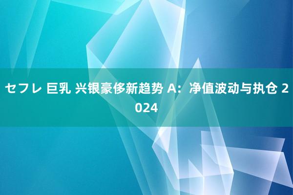 セフレ 巨乳 兴银豪侈新趋势 A：净值波动与执仓 2024