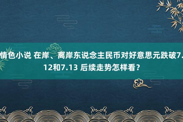 情色小说 在岸、离岸东说念主民币对好意思元跌破7.12和7.13 后续走势怎样看？