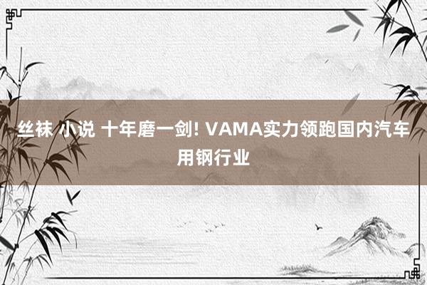 丝袜 小说 十年磨一剑! VAMA实力领跑国内汽车用钢行业