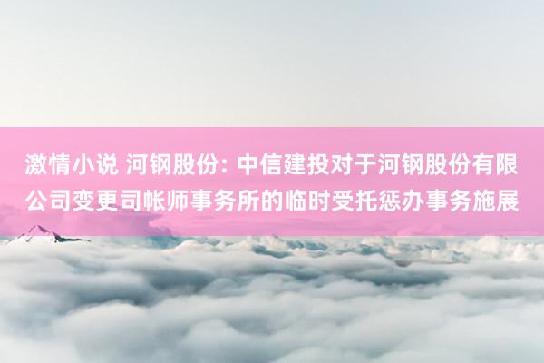 激情小说 河钢股份: 中信建投对于河钢股份有限公司变更司帐师事务所的临时受托惩办事务施展