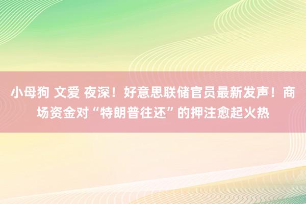 小母狗 文爱 夜深！好意思联储官员最新发声！商场资金对“特朗普往还”的押注愈起火热