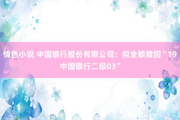 情色小说 中国银行股份有限公司：拟全额赎回“19中国银行二级03”