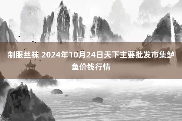 制服丝袜 2024年10月24日天下主要批发市集鲈鱼价钱行情