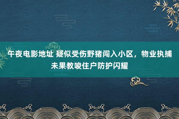 午夜电影地址 疑似受伤野猪闯入小区，物业执捕未果教唆住户防护闪耀