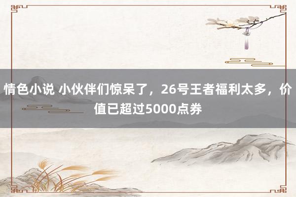 情色小说 小伙伴们惊呆了，26号王者福利太多，价值已超过5000点券