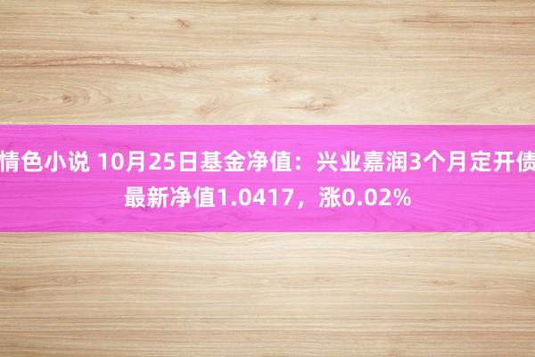 情色小说 10月25日基金净值：兴业嘉润3个月定开债最新净值1.0417，涨0.02%