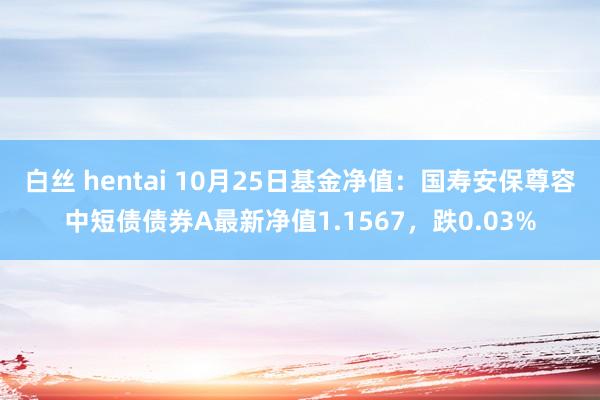 白丝 hentai 10月25日基金净值：国寿安保尊容中短债债券A最新净值1.1567，跌0.03%