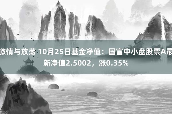 激情与放荡 10月25日基金净值：国富中小盘股票A最新净值2.5002，涨0.35%