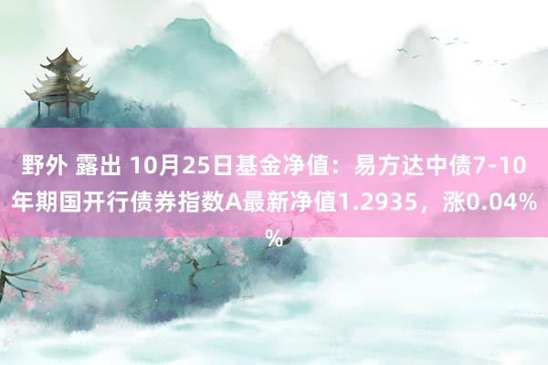 野外 露出 10月25日基金净值：易方达中债7-10年期国开行债券指数A最新净值1.2935，涨0.04%