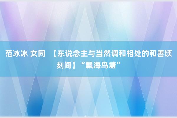 范冰冰 女同  【东说念主与当然调和相处的和善顷刻间】“飘海鸟塘”