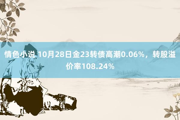 情色小说 10月28日金23转债高潮0.06%，转股溢价率108.24%