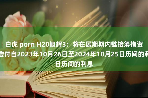 白虎 porn H20旭辉3：将在展期期内链接筹措资金偿付自2023年10月26日至2024年10月25日历间的利息