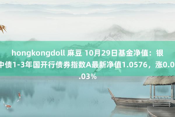 hongkongdoll 麻豆 10月29日基金净值：银华中债1-3年国开行债券指数A最新净值1.0576，涨0.03%