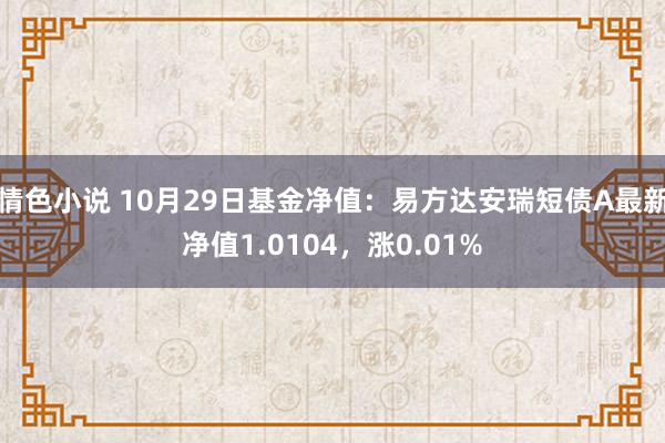 情色小说 10月29日基金净值：易方达安瑞短债A最新净值1.0104，涨0.01%