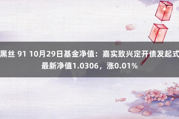 黑丝 91 10月29日基金净值：嘉实致兴定开债发起式最新净值1.0306，涨0.01%