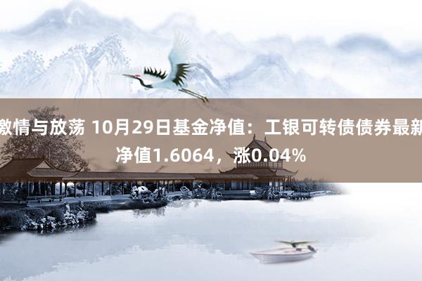 激情与放荡 10月29日基金净值：工银可转债债券最新净值1.6064，涨0.04%