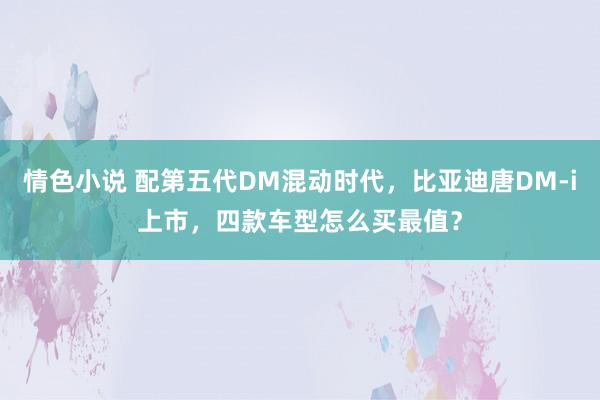 情色小说 配第五代DM混动时代，比亚迪唐DM-i上市，四款车型怎么买最值？