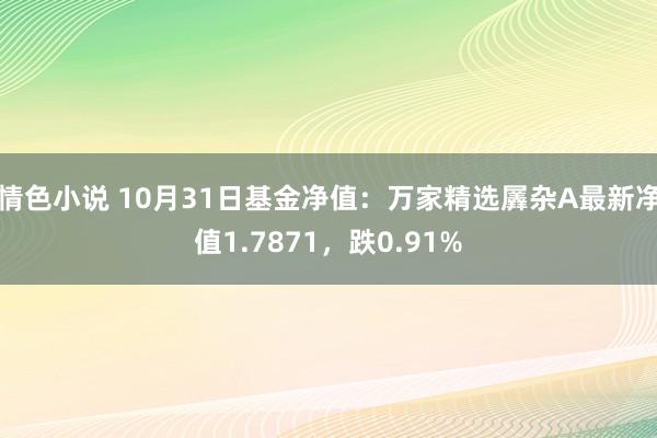 情色小说 10月31日基金净值：万家精选羼杂A最新净值1.7871，跌0.91%