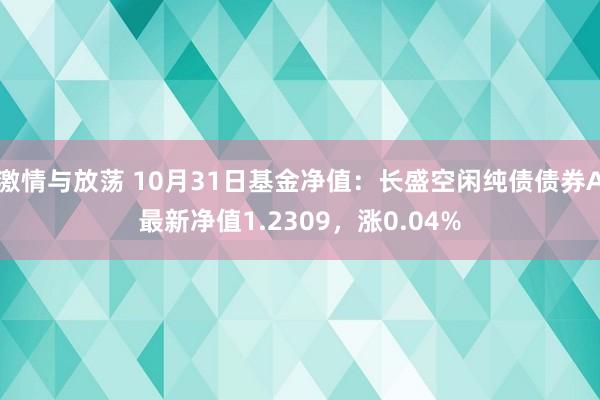 激情与放荡 10月31日基金净值：长盛空闲纯债债券A最新净值1.2309，涨0.04%