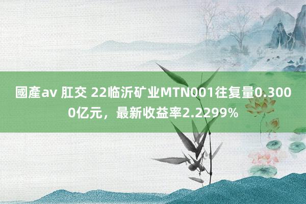 國產av 肛交 22临沂矿业MTN001往复量0.3000亿元，最新收益率2.2299%