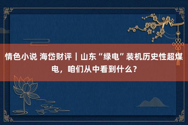 情色小说 海岱财评｜山东“绿电”装机历史性超煤电，咱们从中看到什么？